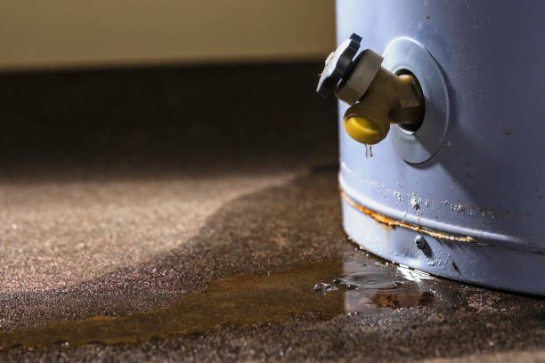 Best Flood restoration services  in Ayden, NC