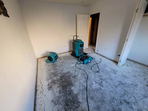 Best Water damage restoration near me  in Ayden, NC