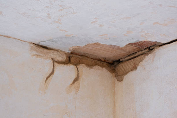 Best 24-hour water damage restoration  in Ayden, NC