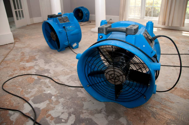 Best Water damage restoration services  in Ayden, NC