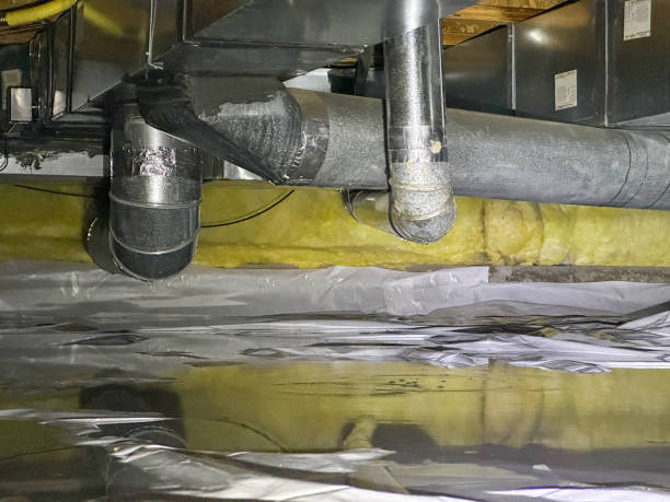 Best Carpet water damage restoration  in Ayden, NC