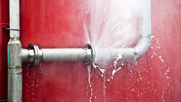 Best Professional water damage repair  in Ayden, NC