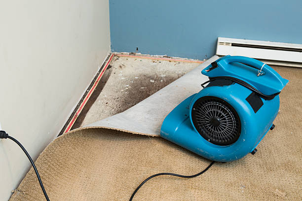 Best Commercial water damage restoration  in Ayden, NC
